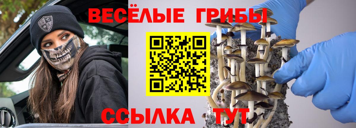 Долгопрудный  Псилоцибиновые грибы GOLDEN TEACHER  Галлюциногенные грибы MAGIC MUSHROOMS  Вход с VPN 